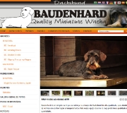 BAUDENHARD Dachshund