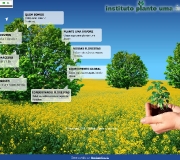 INSTITUTO PLANTE UMA ÁRVORE