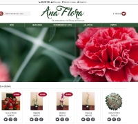 Ana Flora Flores - E-Commerce