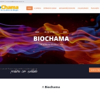 Biochama - Sistemas de Queimadores Biogás